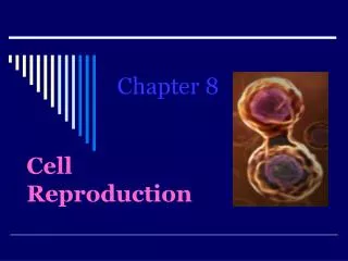 Cell Reproduction