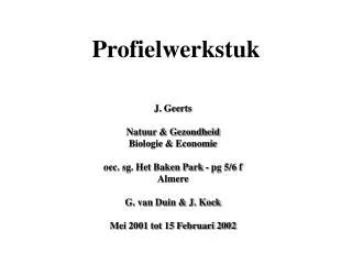 profielwerkstuk