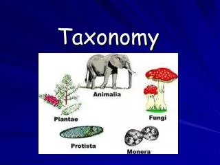 Taxonomy