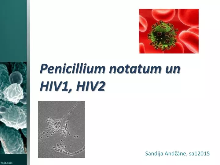 penicillium notatum un hiv1 hiv2