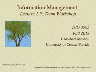 Information Management: Lecture 1.5: Team Workshop