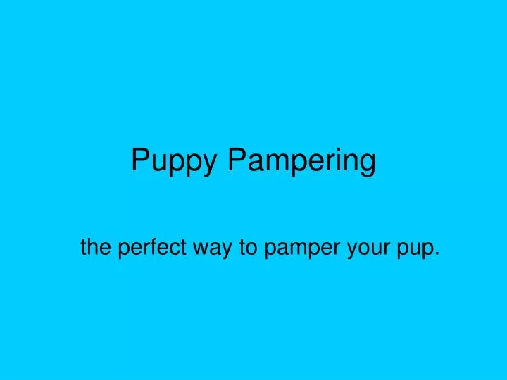 puppy pampering
