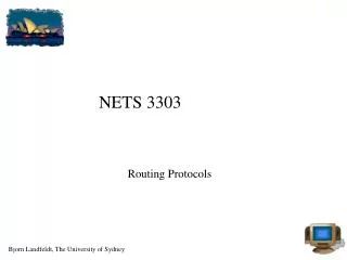 NETS 3303