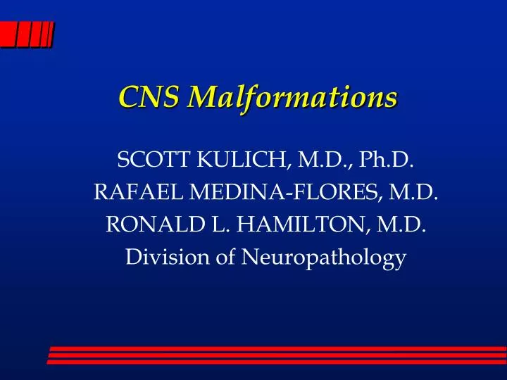 cns malformations