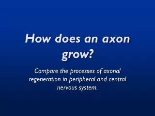 How does an axon grow?