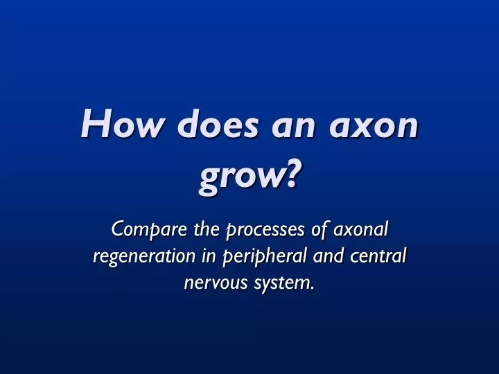 how does an axon grow