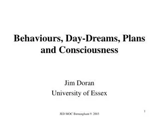Behaviours, Day-Dreams, Plans and Consciousness