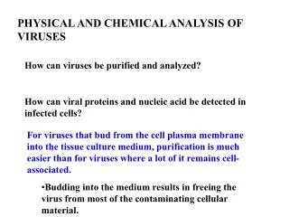 PHYSICAL AND CHEMICAL ANALYSIS OF VIRUSES