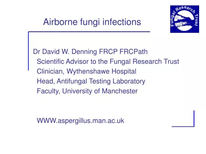 airborne fungi infections