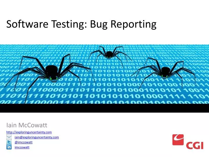 software testing bug reporting