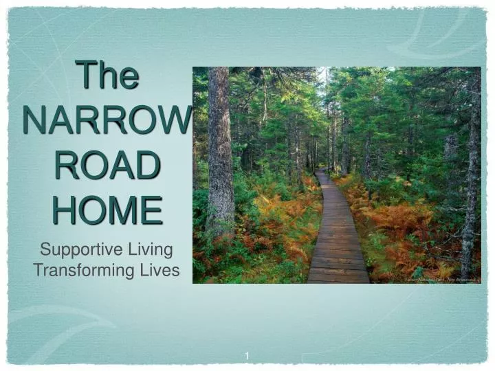 the narrow road home