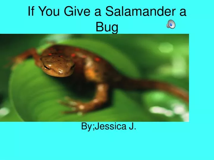 if you give a salamander a bug