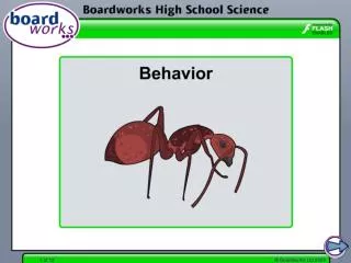 What is behavior?