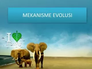 mekanisme evolusi