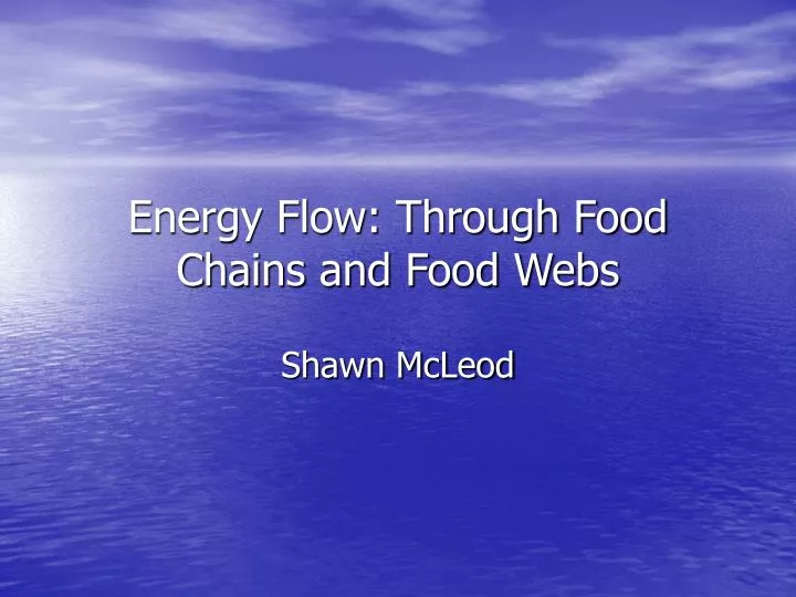 energy flow through food chains and food webs