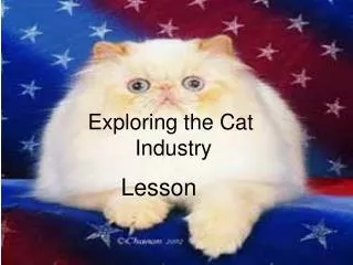 Exploring the Cat Industry