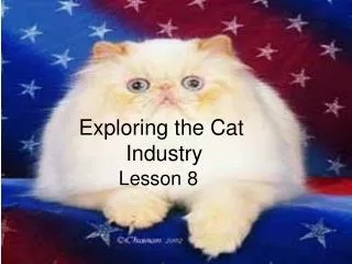 Exploring the Cat Industry