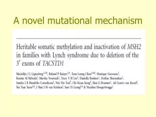 A novel mutational mechanism