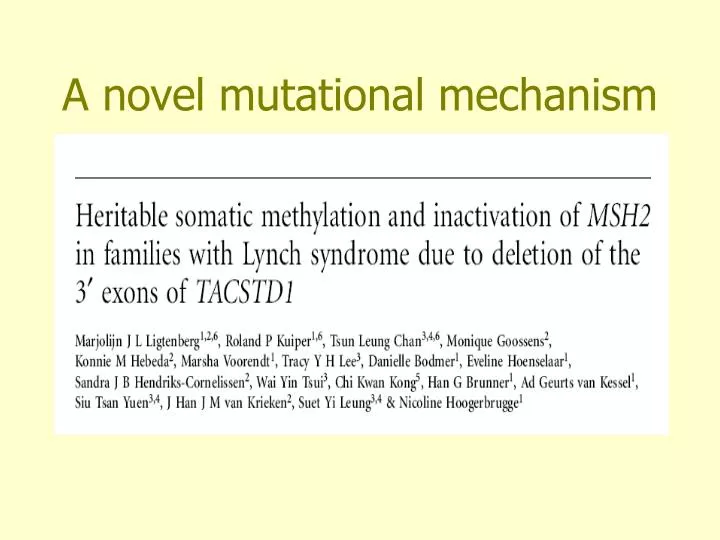 a novel mutational mechanism
