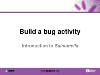 Build a bug activity