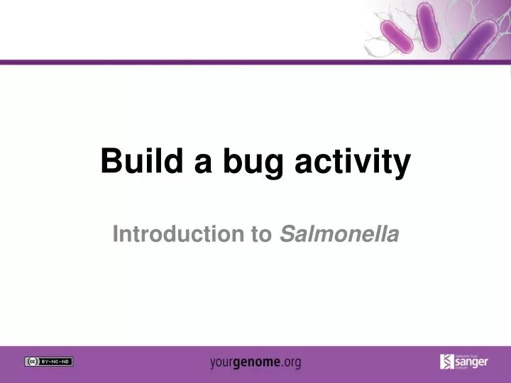 build a bug activity