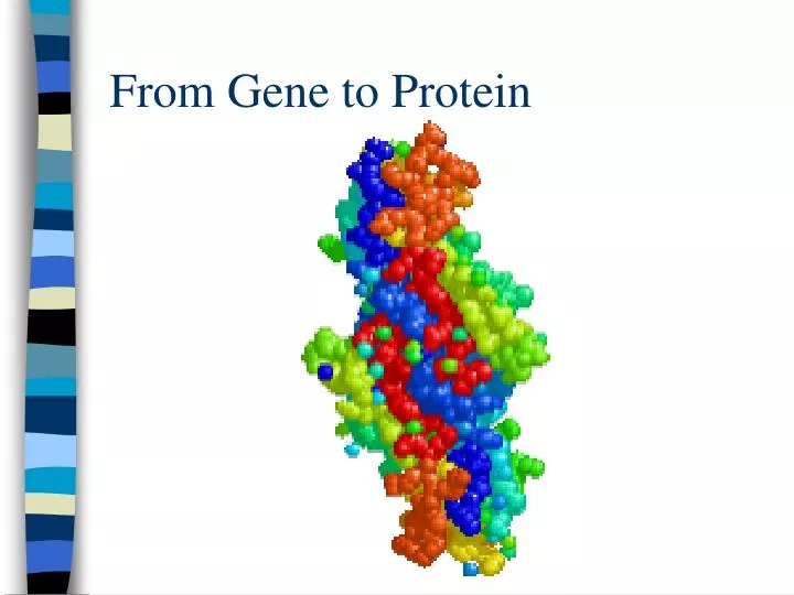 from gene to protein