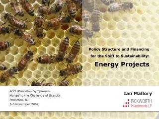 Policy Structure and Financing for the Shift to Sustainability: Energy Projects