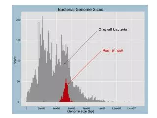 Grey-all bacteria