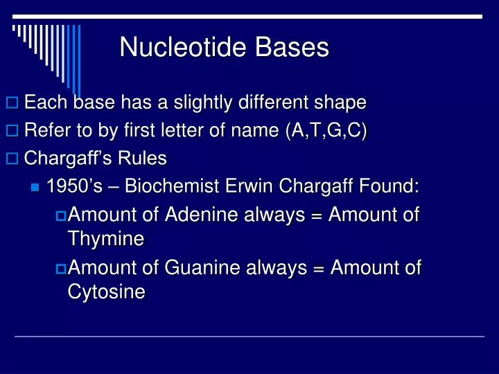nucleotide bases