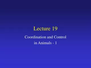 lecture 19