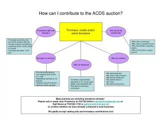 How can I contribute to the ACDS auction?