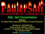 Visual Basic Syntax: Primitive & Compound Variable Types Consultation - slide 1