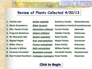Review of Plants Collected 4/30/13