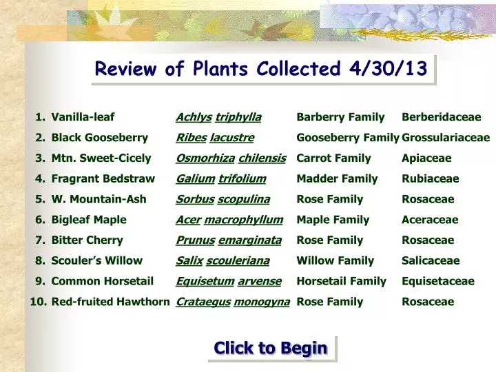 review of plants collected 4 30 13