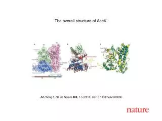 JM Zheng &amp; ZC Jia Nature 000 , 1-5 (2010) doi:10.1038/nature09088