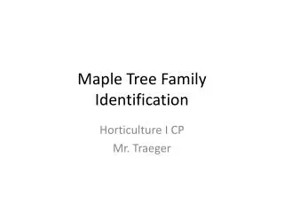 Maple Tree Family Identification