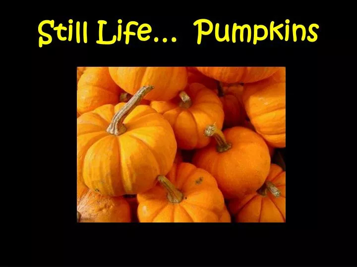 still life pumpkins