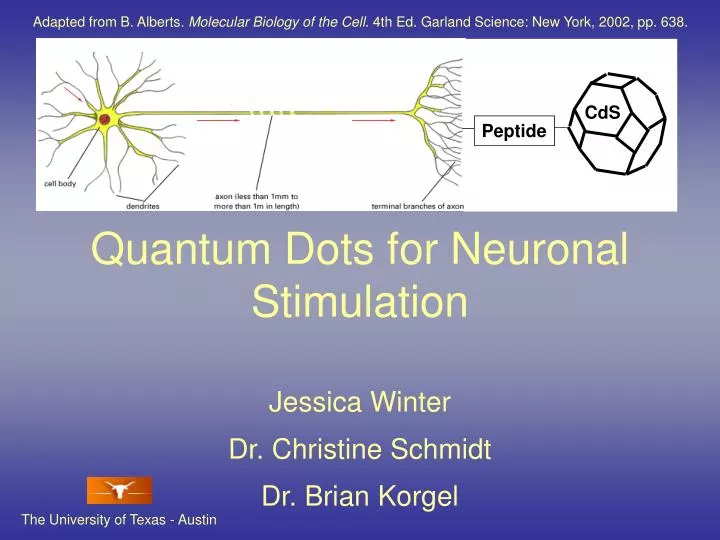 quantum dots for neuronal stimulation