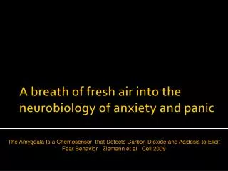 A breath of fresh air into the neurobiology of anxiety and panic