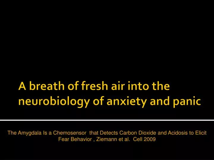 a breath of fresh air into the neurobiology of anxiety and panic