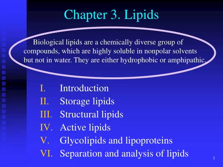 chapter 3 lipids