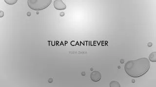 Turap Cantilever