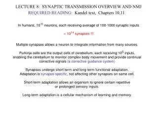 LECTURE 8: SYNAPTIC TRANSMISSION OVERVIEW AND NMJ