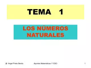 tema 1