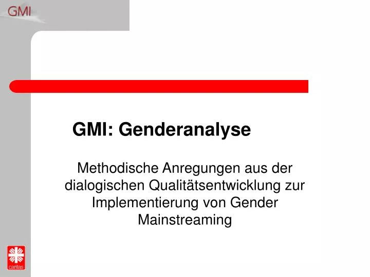 gmi genderanalyse