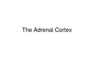 The Adrenal Cortex