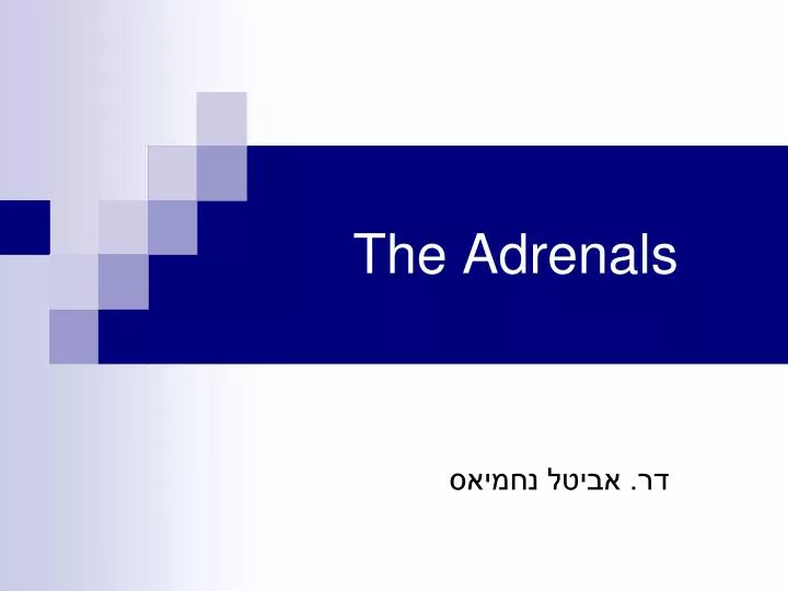 the adrenals