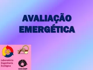 avalia o emerg tica