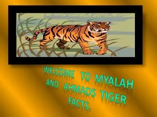 Welcome to myalah and ahmads tiger facts.