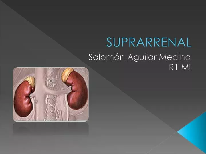 suprarrenal